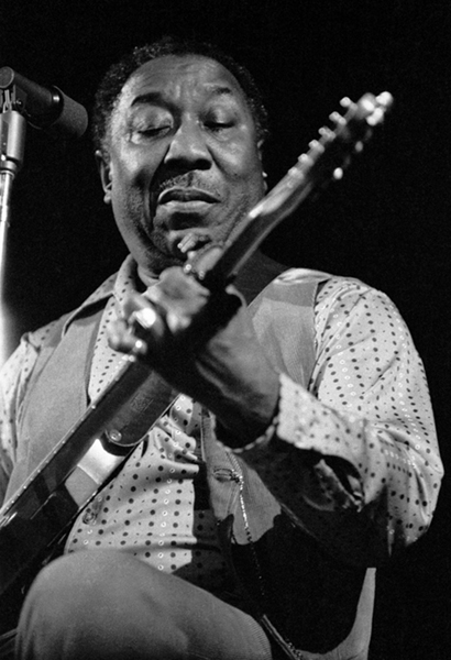 Muddy Waters