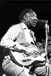 MUDDY WATERS