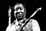 MUDDY WATERS